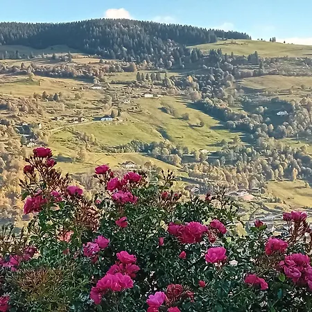 Au Camp De Base Vue Panoramique * La Bresse