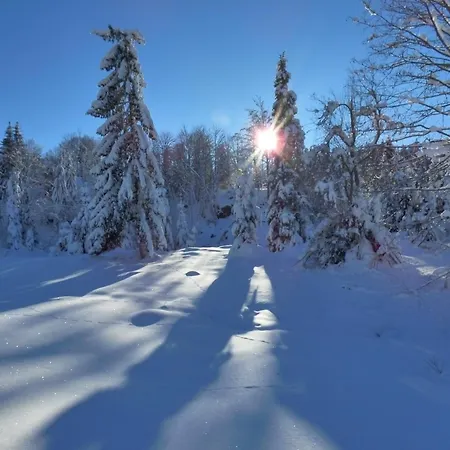Au Camp De Base Vue Panoramique