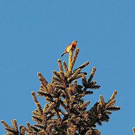 Au Camp De Base Vue Panoramique דירה לה ברסה