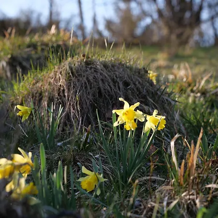 Au Camp De Base Vue Panoramique 公寓 *