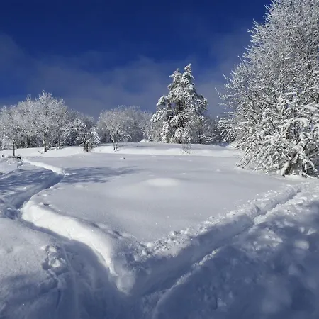 Au Camp De Base Vue Panoramique * La Bresse