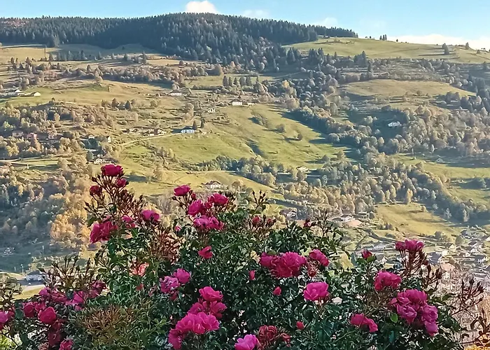 Au Camp De Base Vue Panoramique * La Bresse
