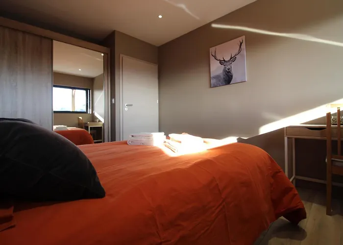 Au Camp De Base Vue Panoramique La Bresse