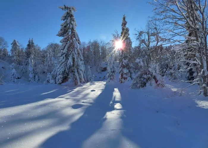 Au Camp De Base Vue Panoramique