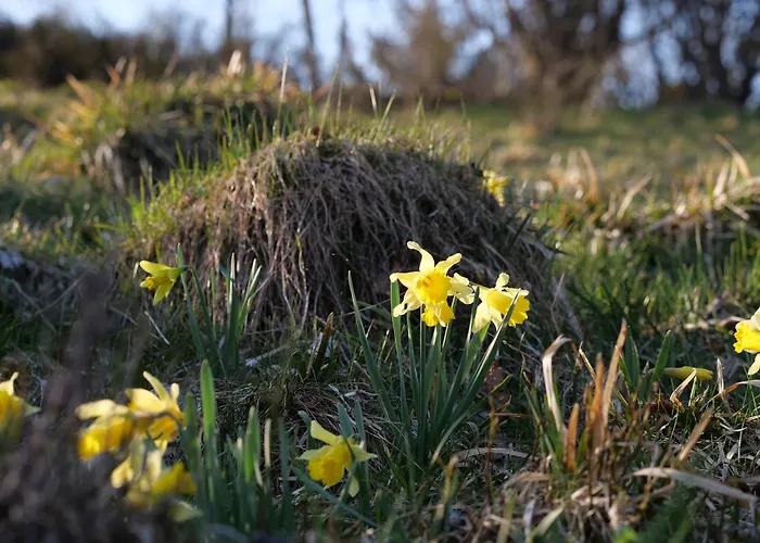 Au Camp De Base Vue Panoramique Appartamento *